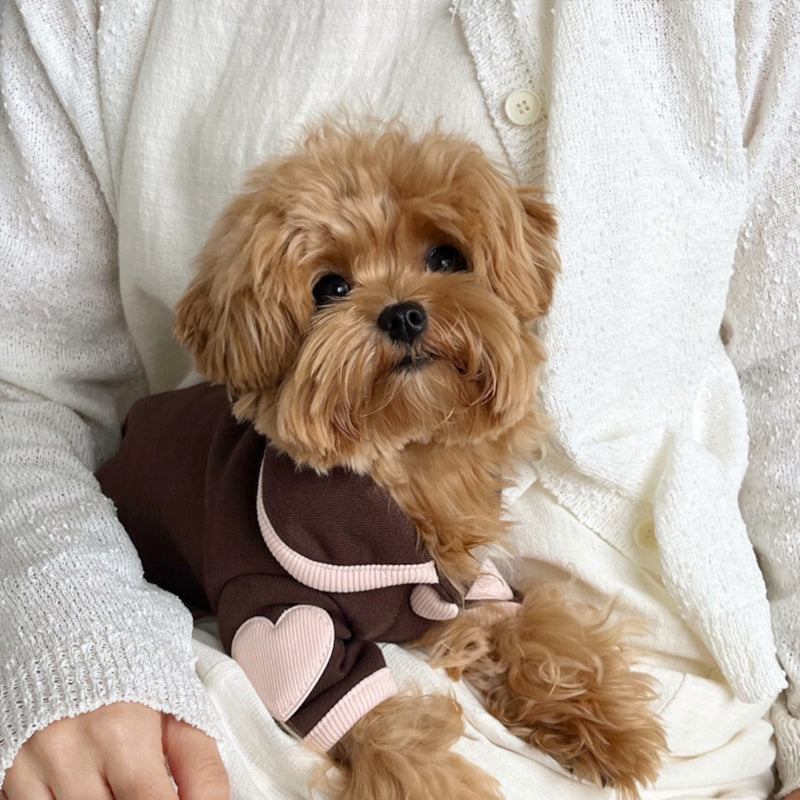 Pet pajamas, plush onesie, Bichon warm vest, heart-print winter dog clothes, two-leg snap-button puppy outfits.